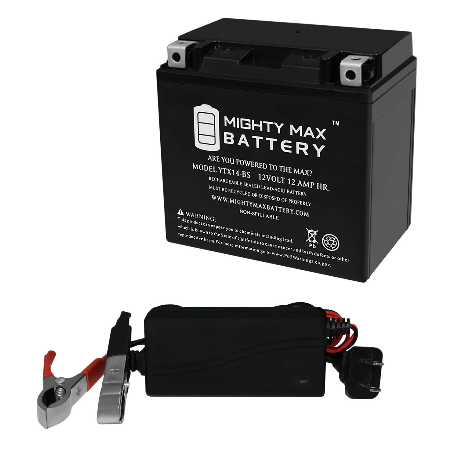 YTX14-BS Battery Replaces Pro Series ATV Powersport + 12V 1Amp Chargr