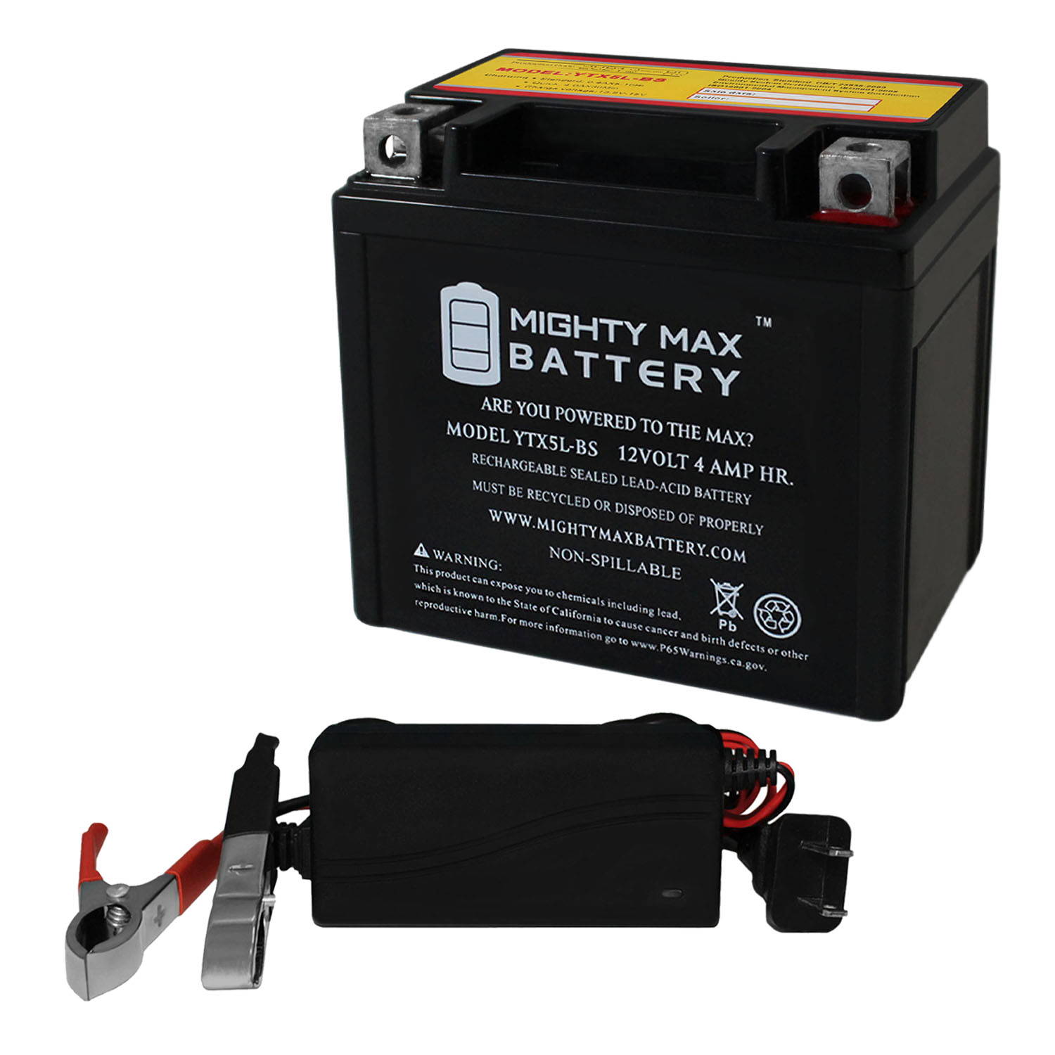 YTX5L-BS Battery for Honda TRX90 ATV + 12V 1AMP CHARGER