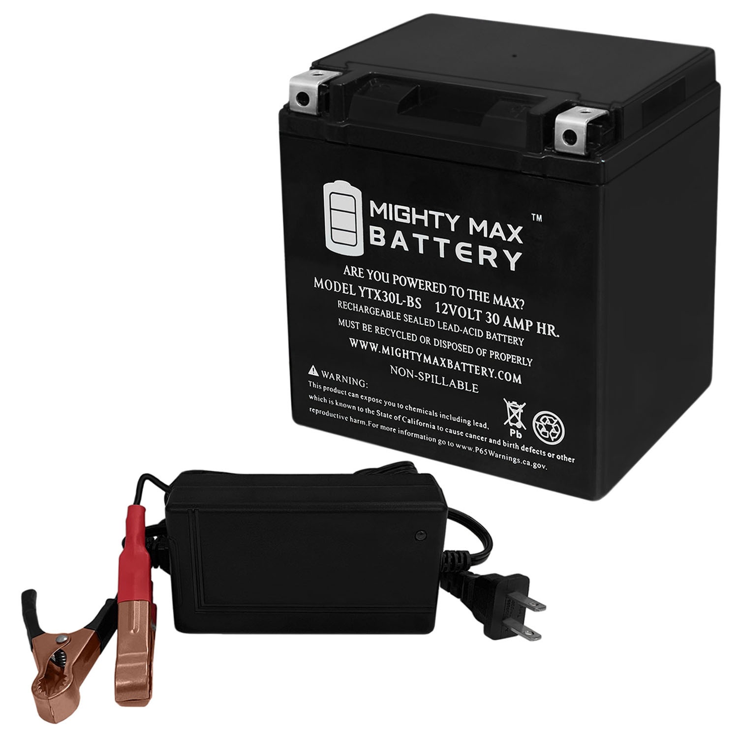 YTX30L-BS 12V 30AH Power Sport Series SLA Battery + 12V 4Amp Charger