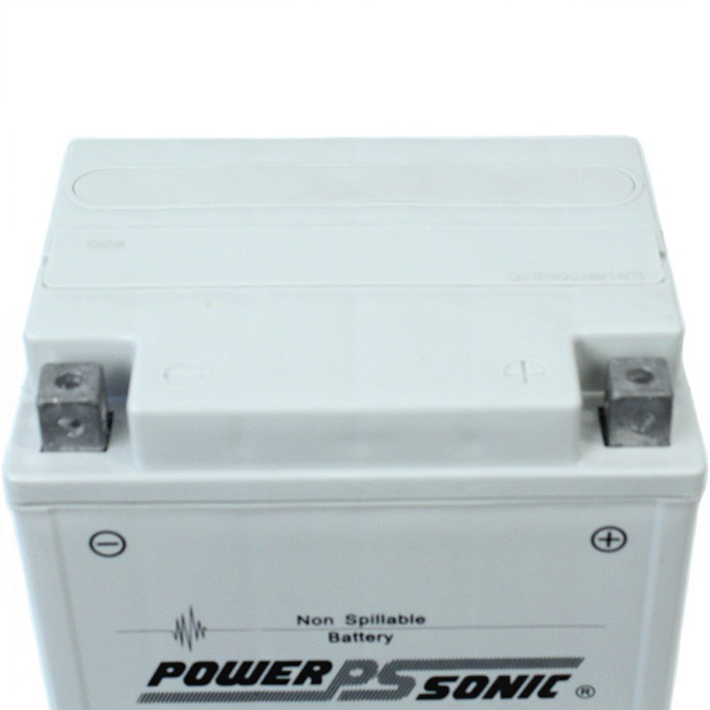 PIX30LBS-FS 12V 28AH Power Sport AGM Series Sealed Battery