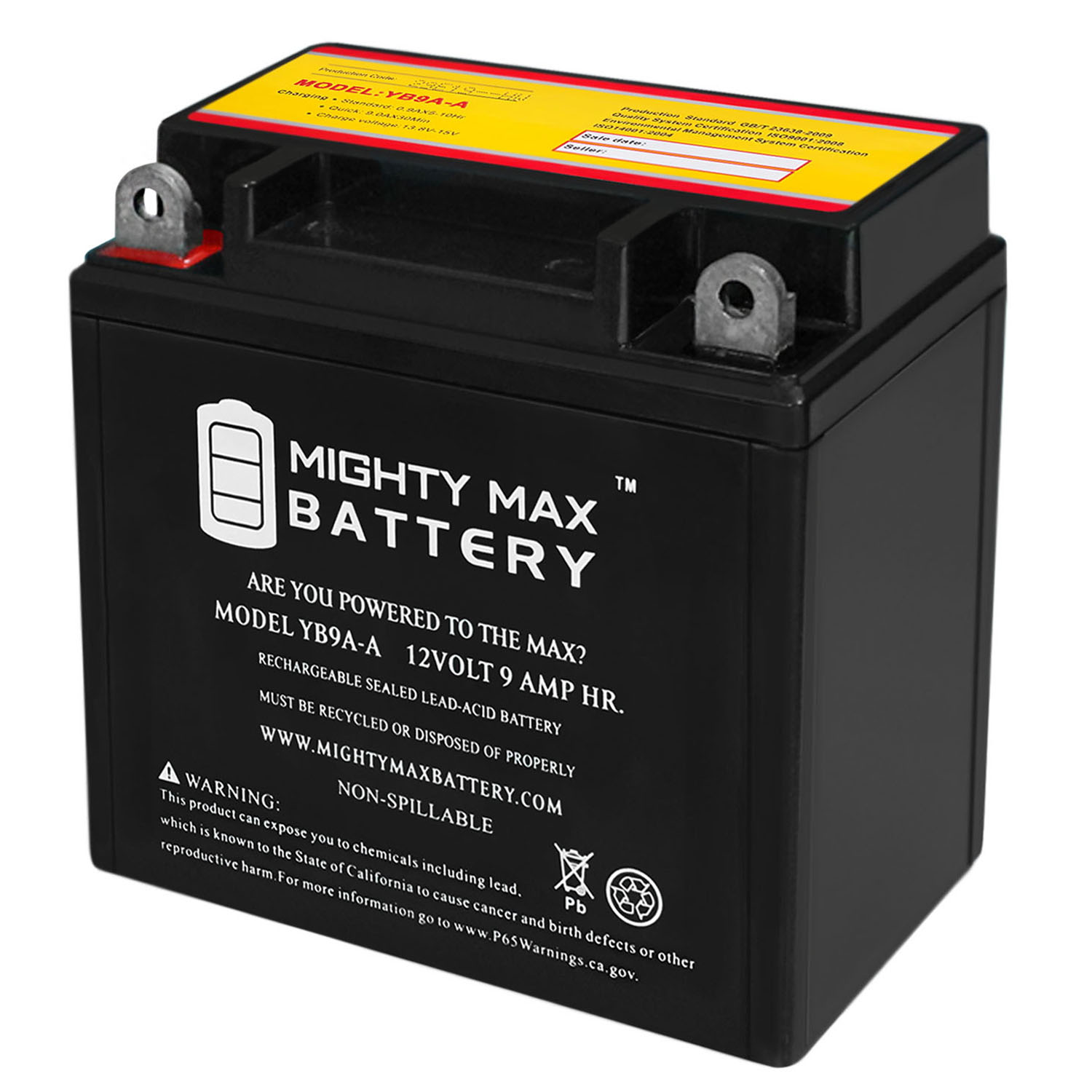 YB9A-A 12V 9AH Battery Replacement for 4140008, 44043, 740-1872