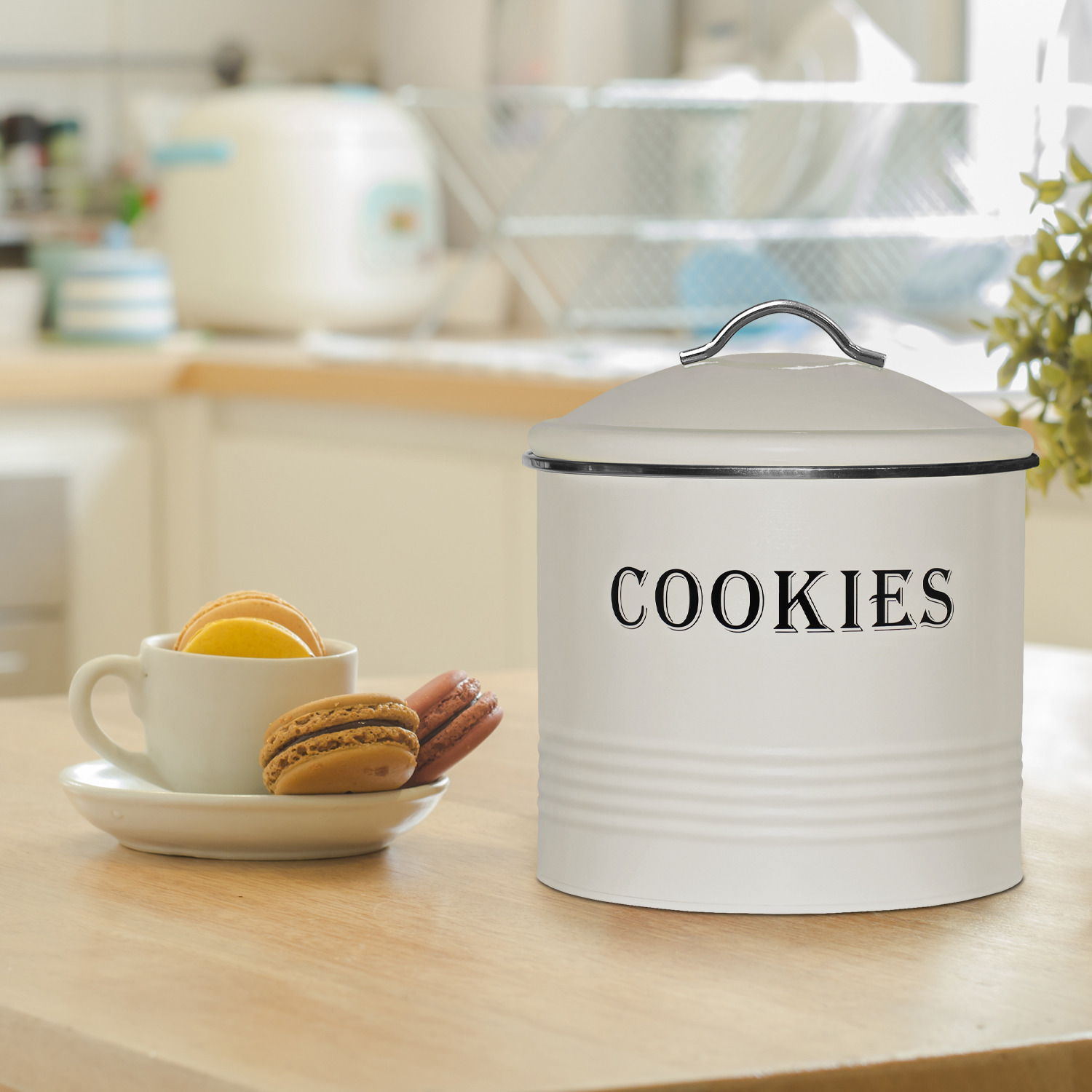 Blue Donuts  Tin Cover, Ivory Cookie Jar