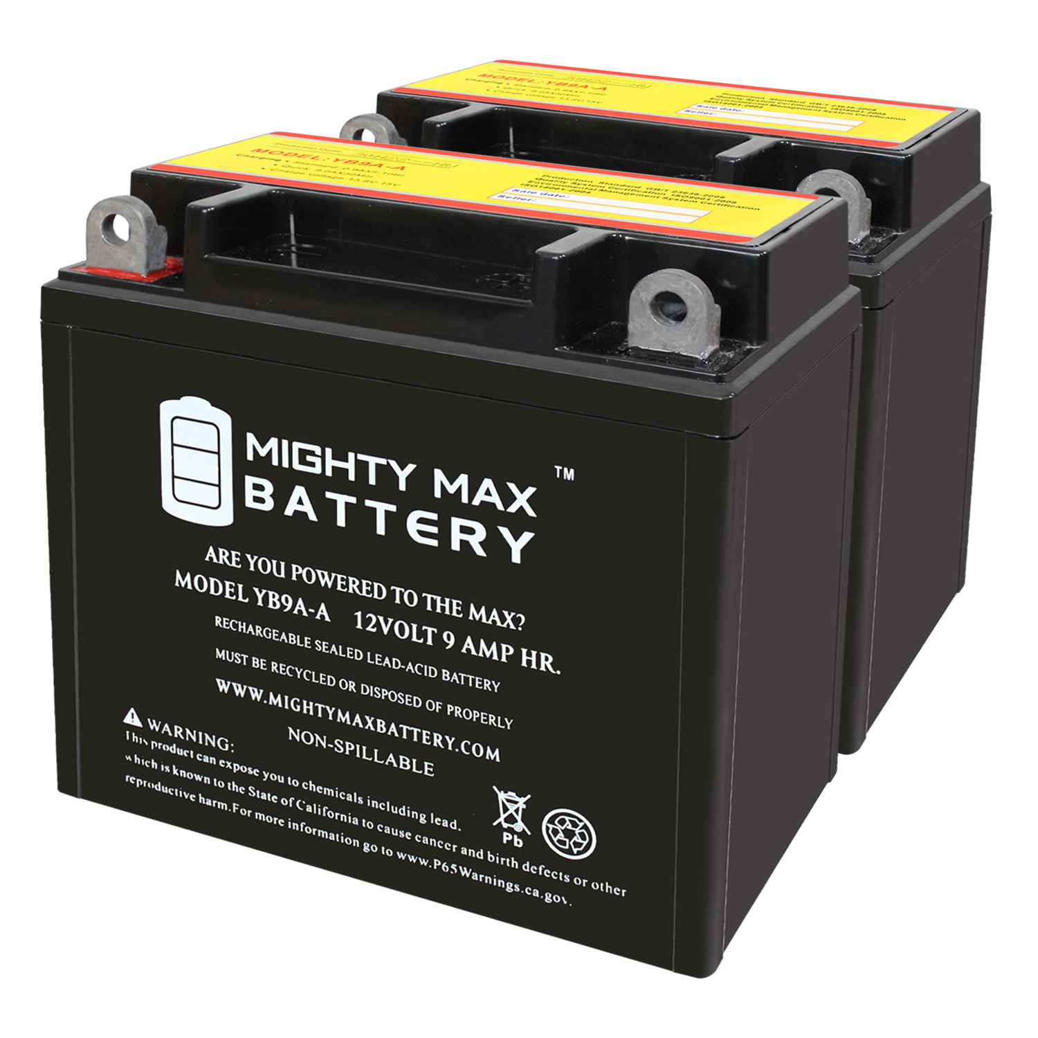 YB9A-A - 12V 9AH 130CCA SLA AGM Motorcycle Battery - Pack of 2