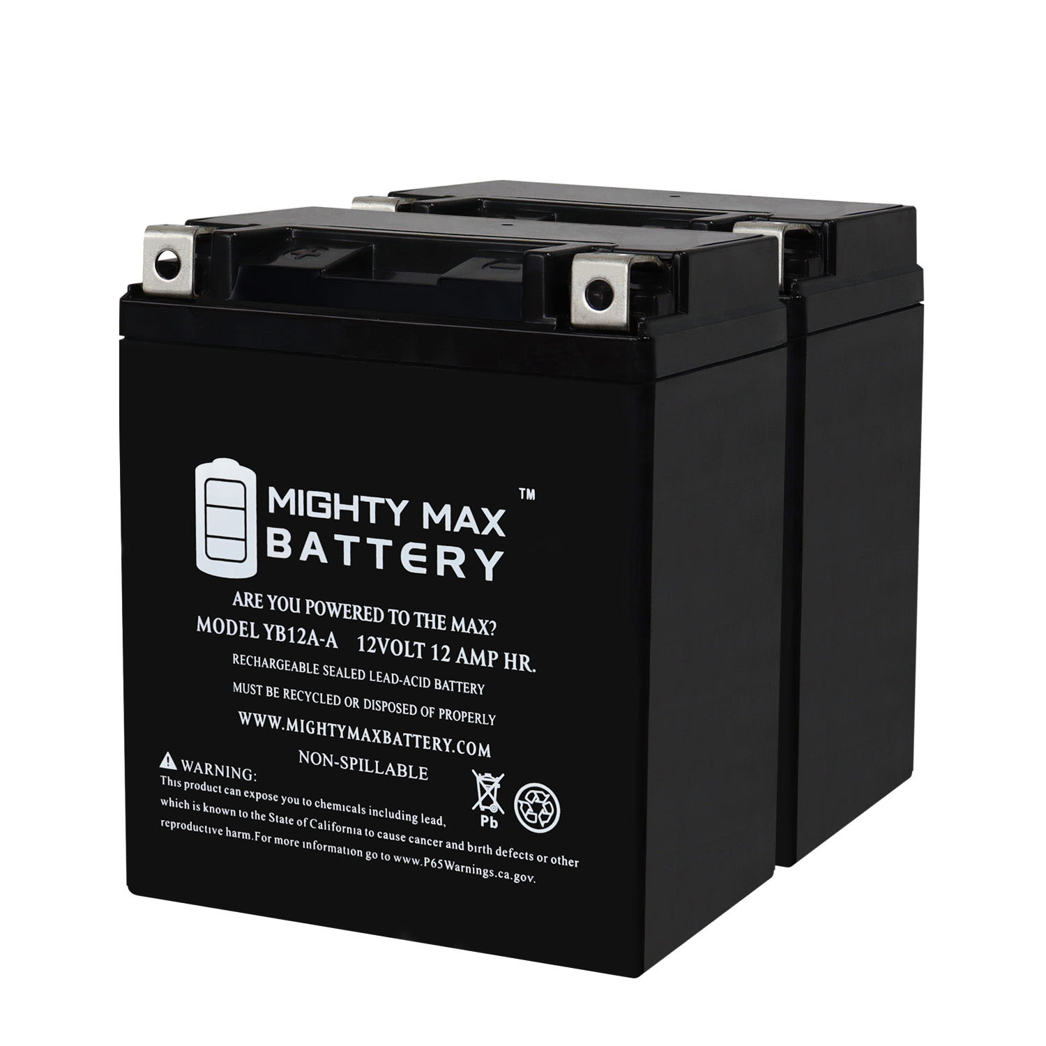 YB12A-A -12 Volt 12 AH, 165 CCA, Rechargeable Maintenance Free SLA AGM Motorcycle Battery - Pack of 2