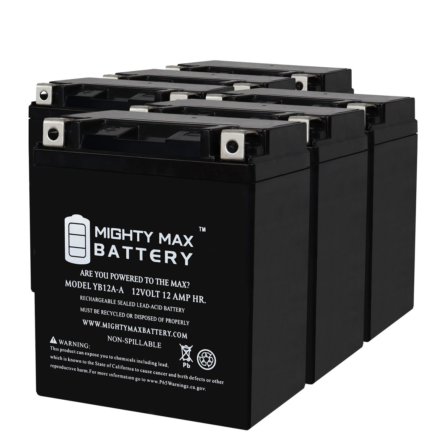 YB12A-A -12 Volt 12 AH, 165 CCA, Rechargeable Maintenance Free SLA AGM Motorcycle Battery - Pack of 6