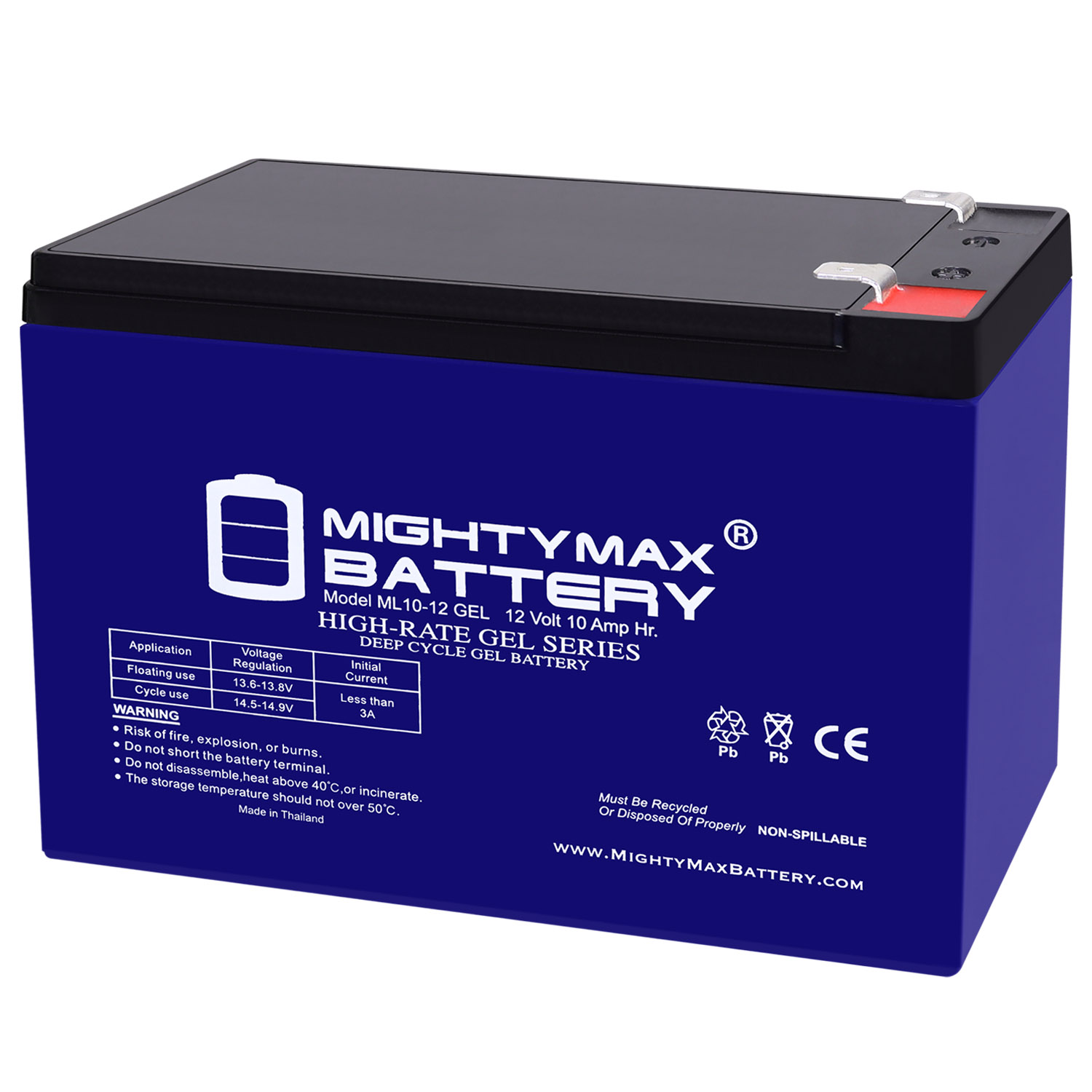 12V 10AH GEL F2 Replacement Battery Compatible with APC Back-UPS XS 900 900VA BX900R