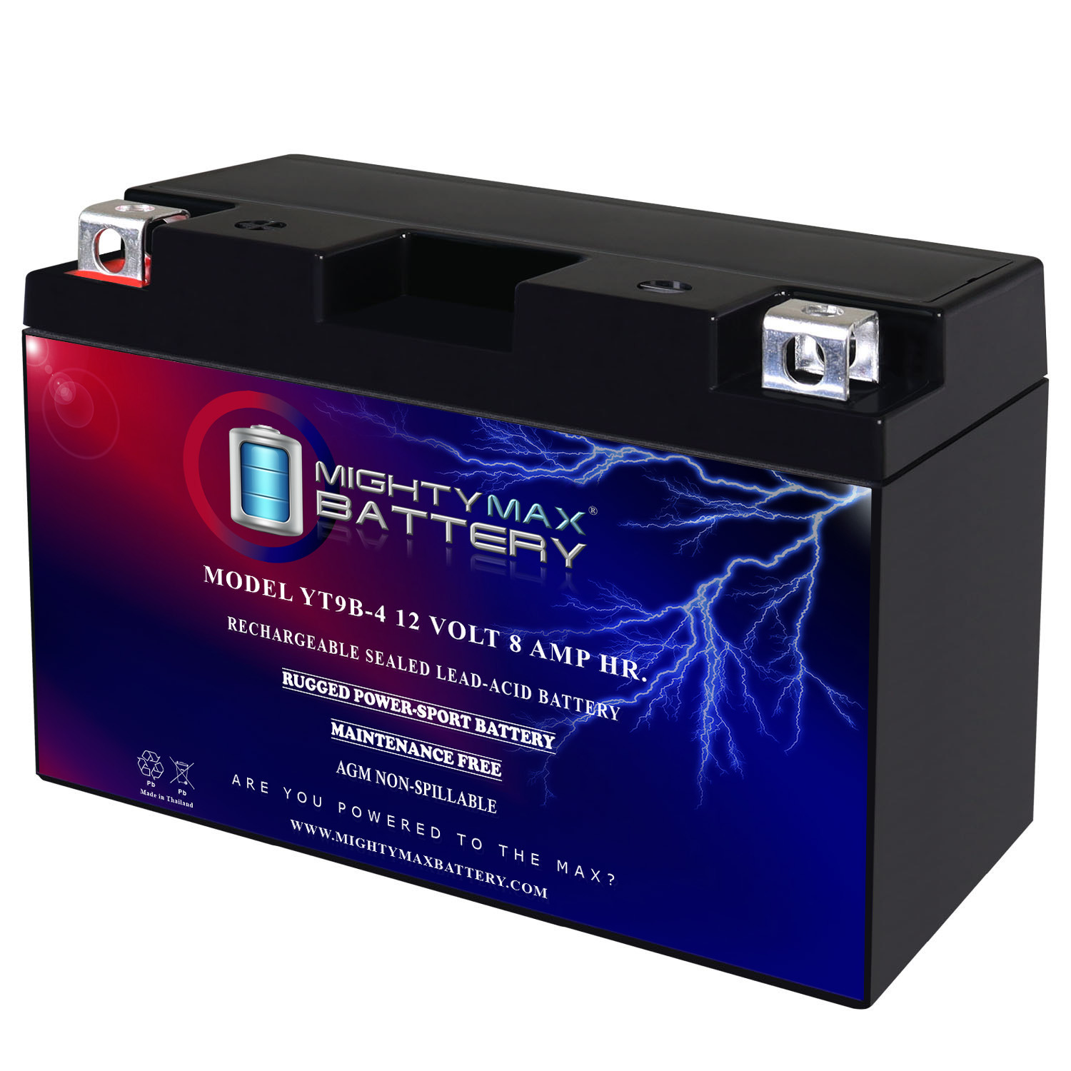 YT9B-4 - 12 Volt 8 AH, 100 CCA, Rechargeable Maintenance Free SLA AGM Motorcycle Battery