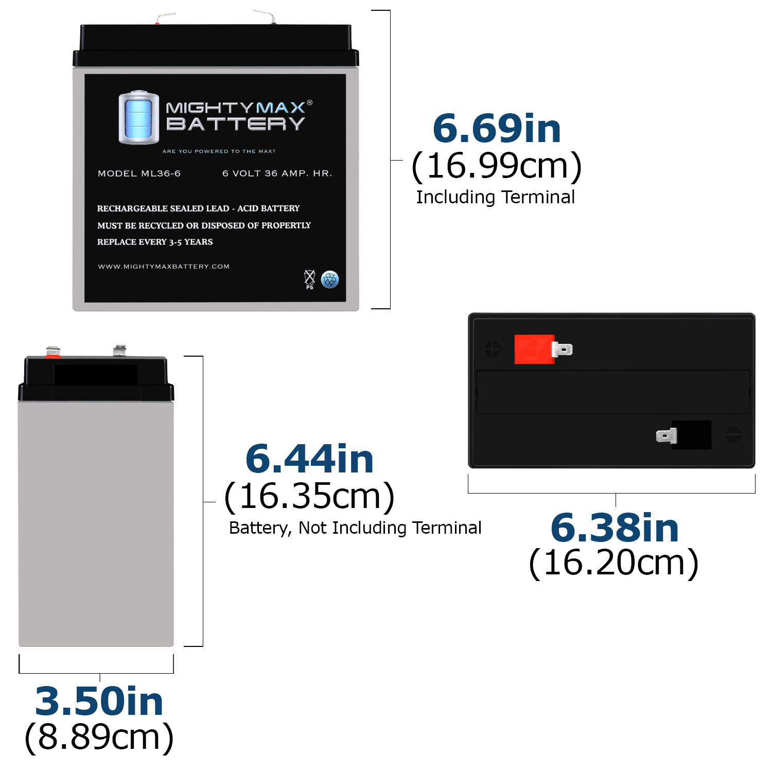 ML36-6 - 6 Volt 36 AH, F2 Terminal, Rechargeable SLA AGM Battery	