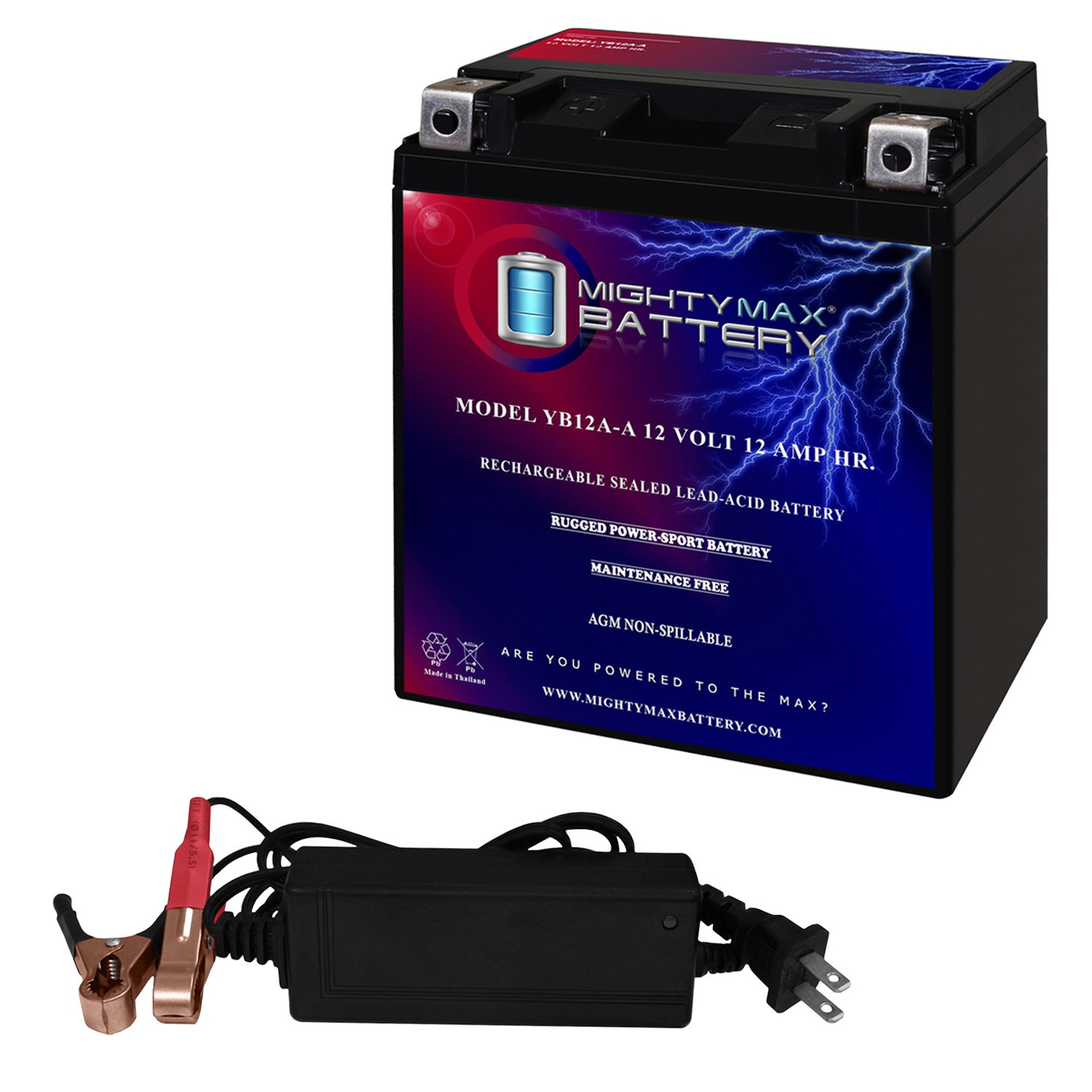 YB12A-A -12 Volt 12 AH, 165 CCA, Rechargeable Maintenance Free SLA AGM Motorcycle Battery + 12V 2AMP Charger